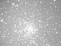 m71-03-07-2010