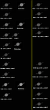 saturn-10-03-2010