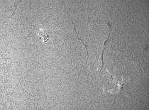 sun-24-04-2012
