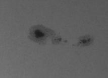 sun-28-03-2010