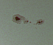 sun-28-03-2010