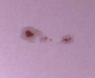 sun-28-03-2010