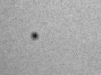 sun-30-05-2011