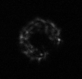 Przesłonięcie ręką przodu teleskopu widzimy jako przyciemnienie fragmentu rozostrzonego obrazu gwiazdy.